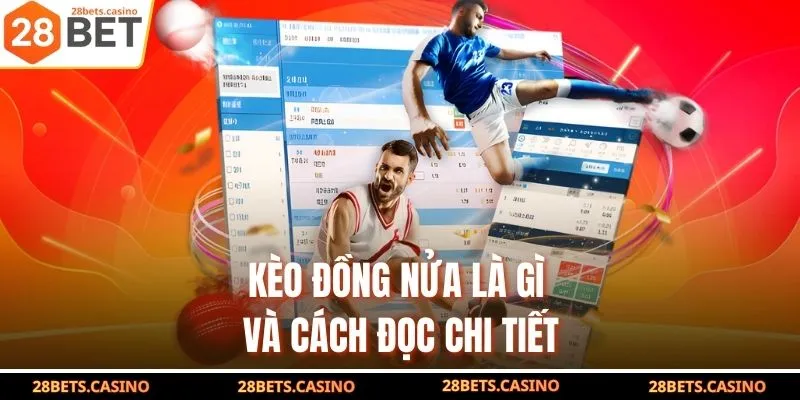 Kèo Đồng Nửa Là Gì? Cách Đọc Và Bí Kíp Thực Chiến Hiệu Quả 3 Kèo đồng nửa là gì và cách đọc chi tiết